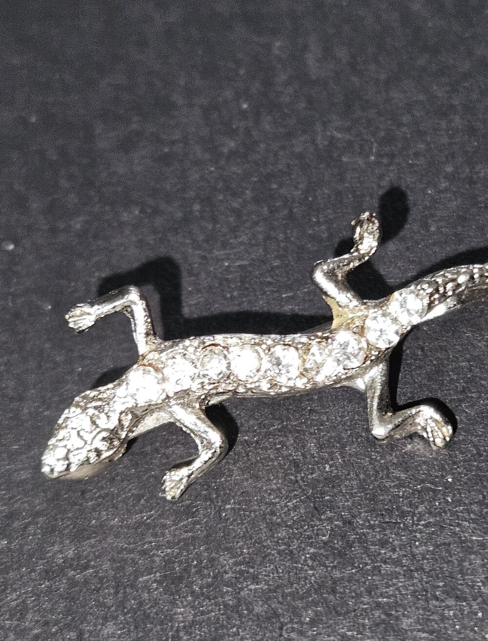 Salamander Bobby/Hair Pin (1)